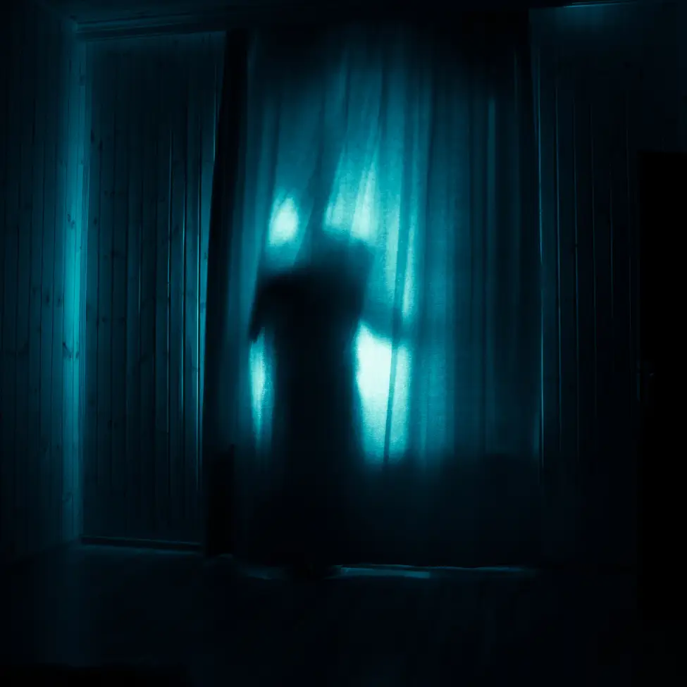 Shadows of the Past